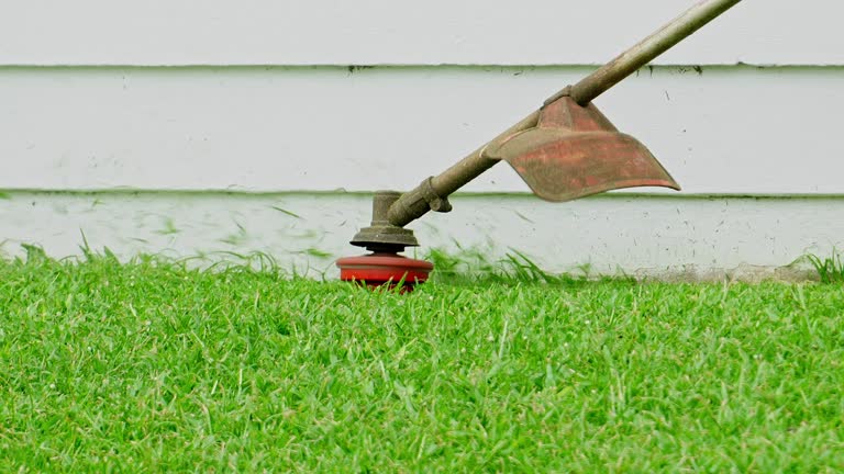 Best Lawn Drainage Solutions  in Palm Desert, CA